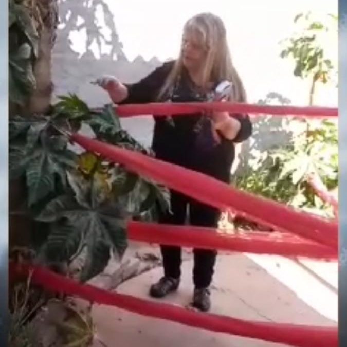 ORACION POR LA IGLESIA PERSEGUIDA