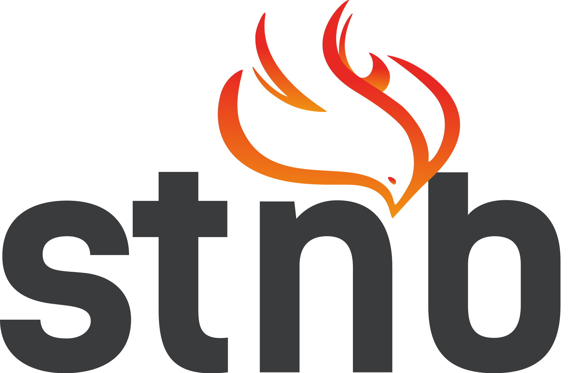 stnb-grande