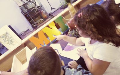 MNI IMPACTÓ EN LOS DISTRITOS ARGENTINOS