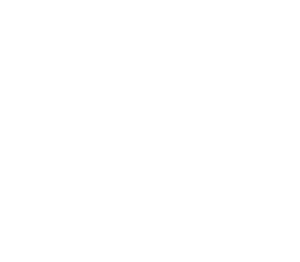Logo1