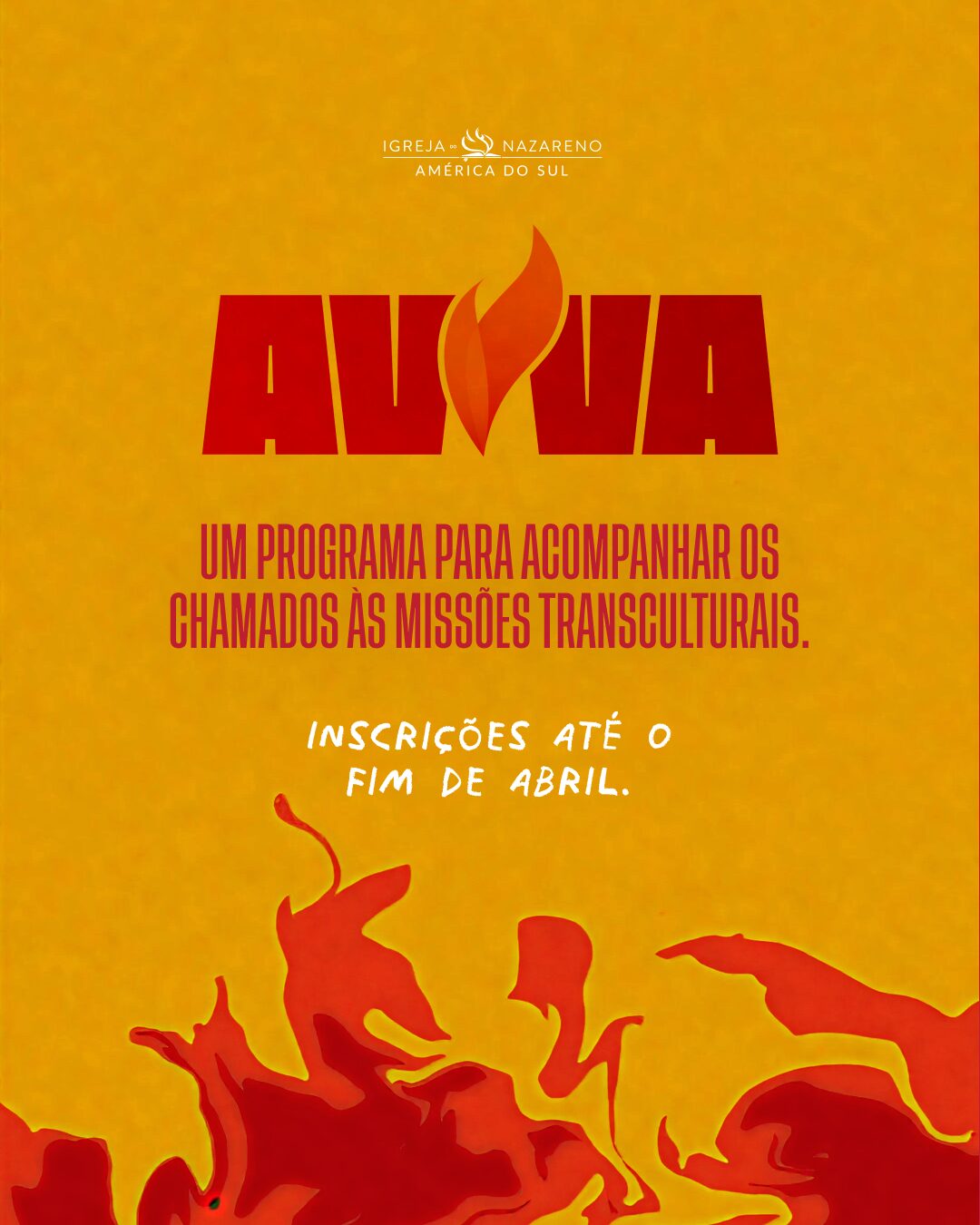 MENTOREO AVIVA - feed